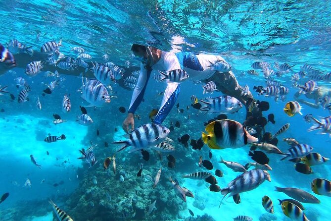 1/2 day Tahaa coral garden - departure Raiatea / ideal for cruise passengers - Why the Taha’a Coral Garden is worth your time