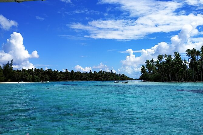 1/2 day Tahaa coral garden - departure Raiatea / ideal for cruise passengers - Walking to the channel