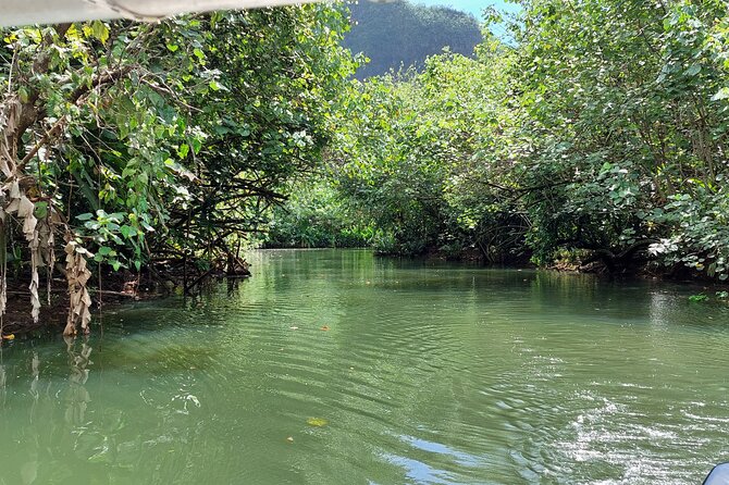 1/2 day "Treasures of Raiatea" by boat - ideal for cruise passengers - Key points at a glance