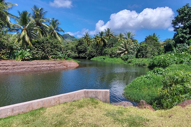 1/2 day "Treasures of Raiatea" by boat - ideal for cruise passengers - Why this Raiatea boat trip works for cruise passengers
