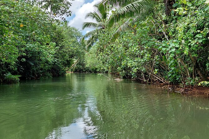 1/2 day "Treasures of Raiatea" by boat - ideal for cruise passengers - Rain, sun, and what to bring
