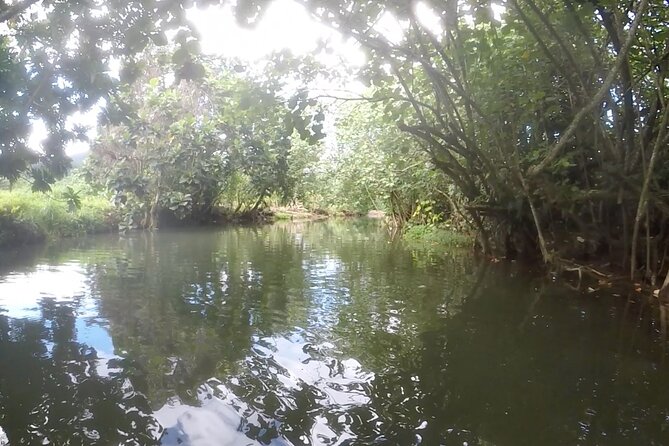1/2 day "Treasures of Raiatea" by boat - ideal for cruise passengers - Who will enjoy it most