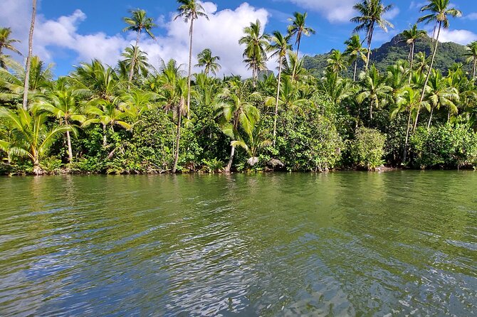 1/2 day "Treasures of Raiatea" by boat - ideal for cruise passengers - Up the Faaroa River through quiet tropical country