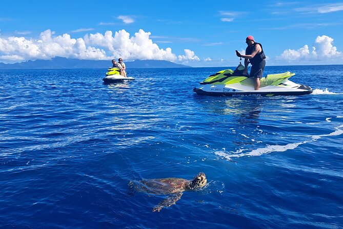 1-hour jet ski excursion in Tahiti - Wildlife sightings are a bonus, not a promise