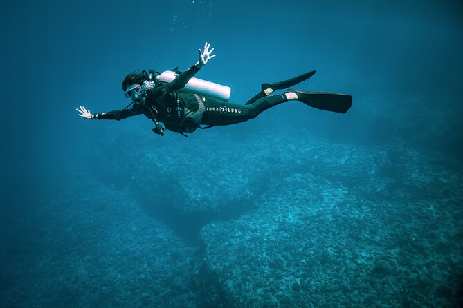 2 Dives in the morning for certified divers in Bora Bora - Surface interval with tea, water, and cookies