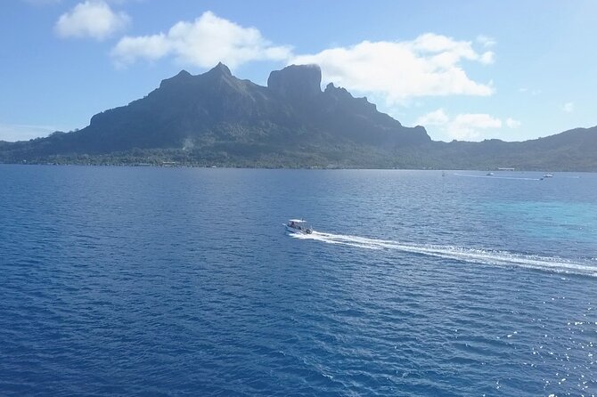2 Dives in the morning for certified divers in Bora Bora - What the $235.69 price really covers