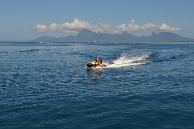 2-hour Jet Ski outing in Puna'auia - Wildlife sightings are a bonus, not the main promise