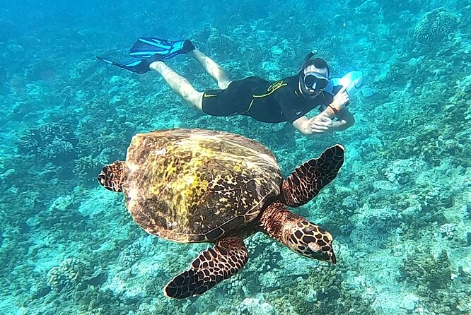 2-hour Jet Ski outing in Puna'auia - Who will enjoy this most