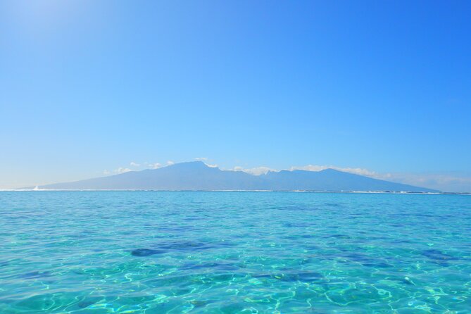 2 hours discovery tour of Moorea by Jet Ski - Meeting stingrays and blacktip sharks near Moorea