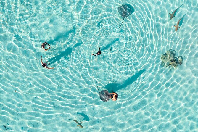 3-Hour Snorkeling Tour - Key points before you book