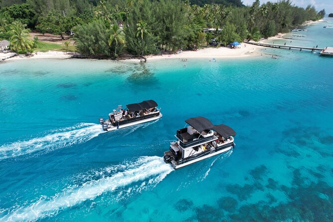 3-Hour Snorkeling Tour - A three-hour introduction to Moorea’s lagoon