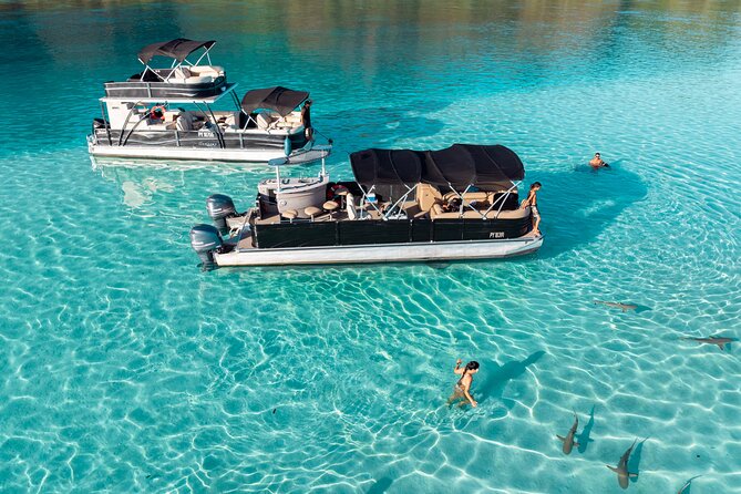 3-Hour Snorkeling Tour - Tiahura: rays, sharks, and shallow-water swimming
