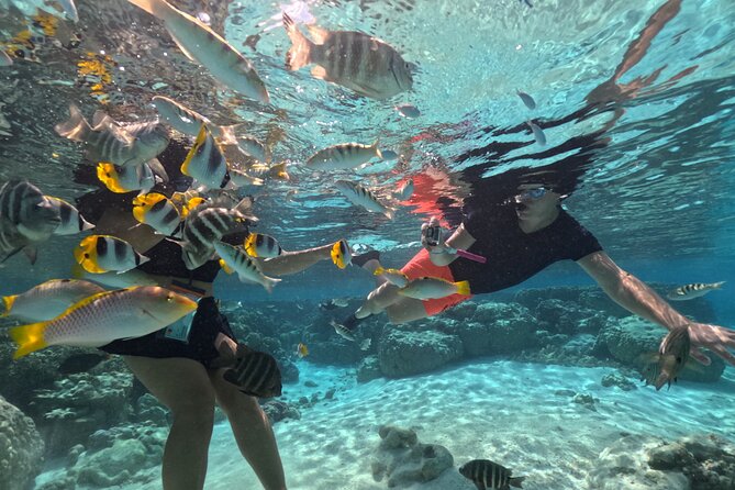 3H Adventure in JET SKI Snorkeling and Tahaa Lagoon - Why this Taha’a outing feels different