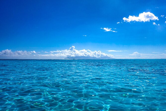 3h dolphin and snorkeling tour in a wild lagoon with Mobydick - Is $144.54 a fair price?