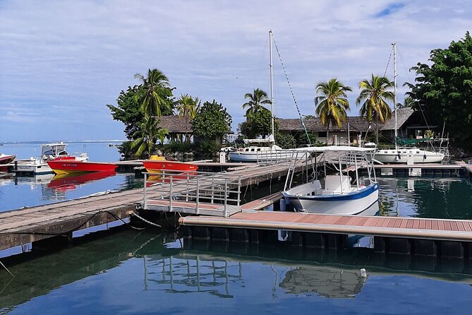 3h dolphin and snorkeling tour in a wild lagoon with Mobydick - Who will enjoy this Tahiti boat trip?
