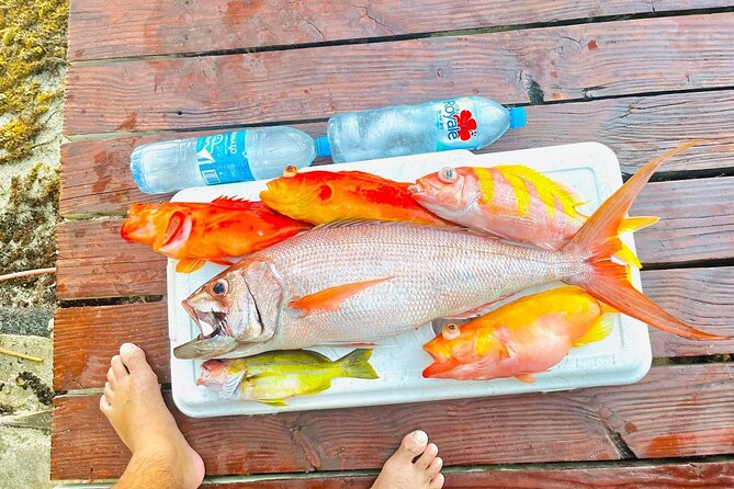 4 Hour Ariki Fishing Activity in Moorea - What the ARIKI NUI outing is really about