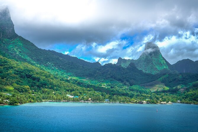 4 Hour Private Humpback Whales Encounter in Moorea - Is $1,639.76 good value for six people?