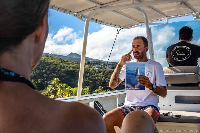 4 Hours of Humpback Whale Watching in Tahiti - The hydrophone adds a rare underwater perspective