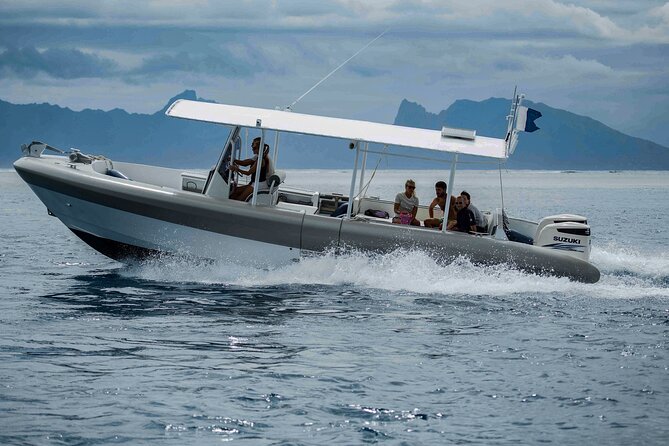 4 Hours of Humpback Whale Watching in Tahiti - Entering the water is conditional, not automatic