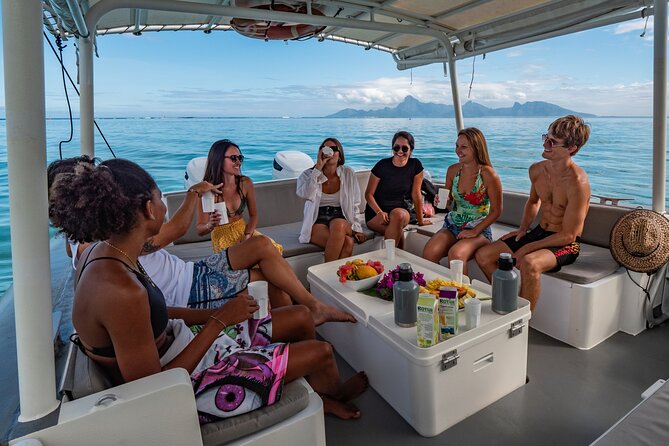 4 Hours of Humpback Whale Watching in Tahiti - Puna’auia meeting point and practical comfort