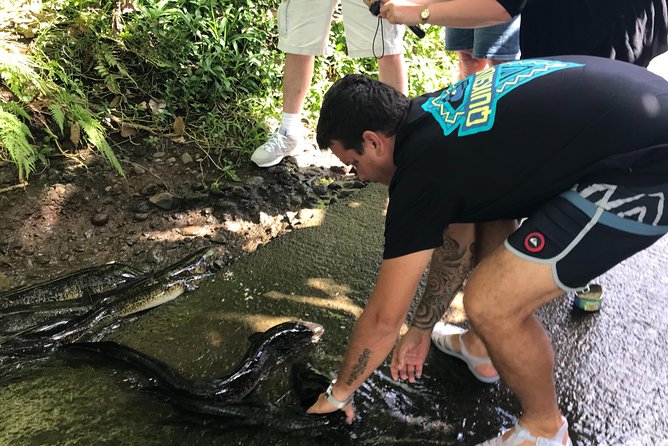 4x4 Moorea Safari Tours : With Hotel transfers - Key points to know before you book
