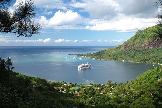 4x4 Moorea Safari Tours : With Hotel transfers - Eels, rivers, and the less polished side of the island