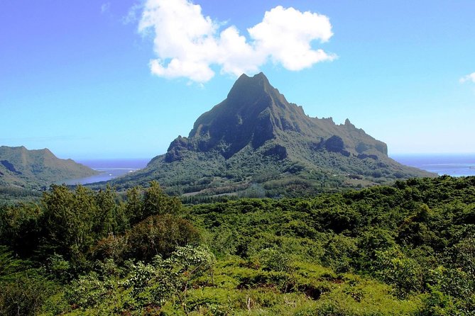 4x4 Moorea Safari Tours : With Hotel transfers - Who will enjoy this Moorea safari