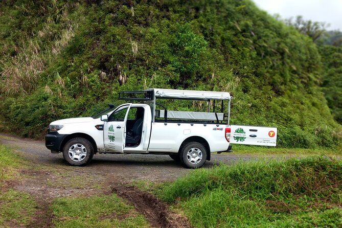 4x4 Safari HEREAKIMANU Tour in the Heart of Tahiti - Guides who turn scenery into a lesson
