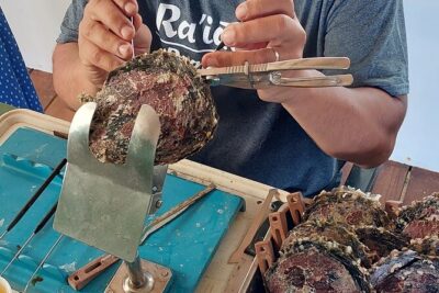 4×4 Tour – Culture, Crafts and Agritourism in Raiatea