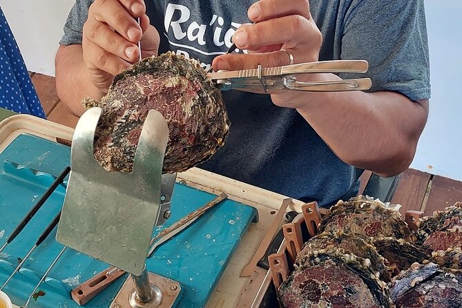 4x4 Tour – Culture, Crafts and Agritourism in Raiatea - Taputapuatea Marae and Raiatea’s Polynesian importance