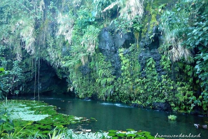 5 Hours Tahiti Island Tour - West and East Coast - The guides make the short stops count