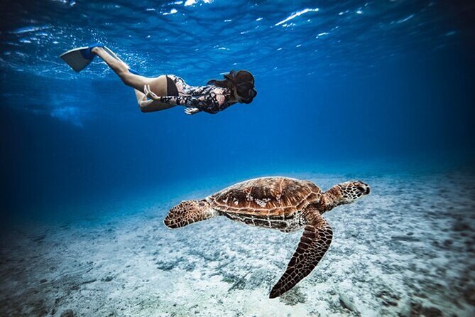 6 Hour Private Boat Activity with Snorkeling & Lunch - Cook Bay and Opunohu Bay from the Water