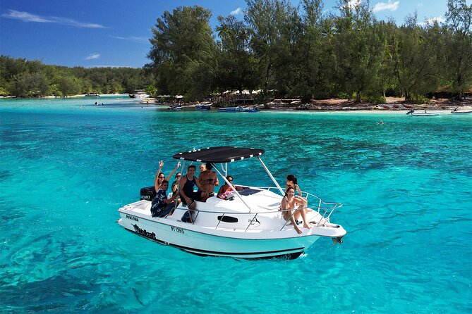 6 Hour Private Boat Activity with Snorkeling & Lunch - Snorkeling with Rays, Sharks, and Turtles