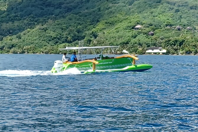 Activity/Excursion Lagoon Tour to Moorea by Canoe 6 hours - Underwater tikis and the sea turtle stop