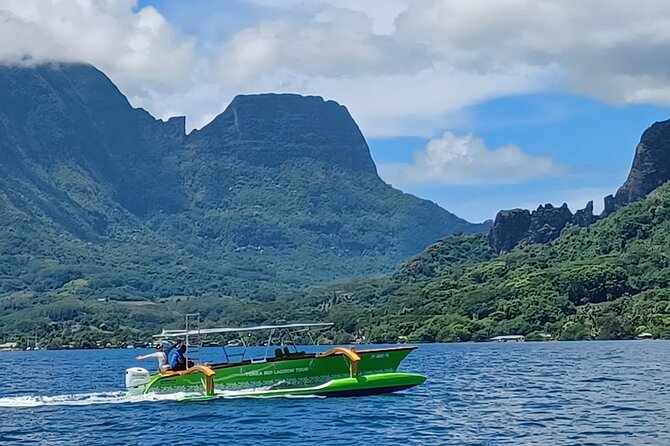 Activity/Excursion Lagoon Tour to Moorea by Canoe 6 hours - The coral garden and Moorea’s underwater color