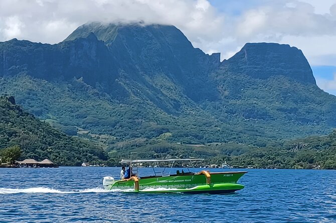 Activity/Excursion Lagoon Tour to Moorea by Canoe 6 hours - Who gets the best value at $139.68