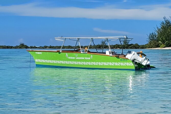 Activity/Excursion Lagoon Tour to Moorea by Canoe 6 hours - Rays and blacktip sharks in the lagoon
