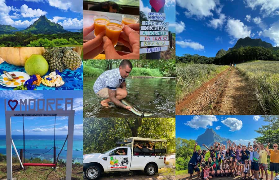 Albert Tours Excursion Safari - Moorea Safari tours&pick up - Why this three-hour safari works so well