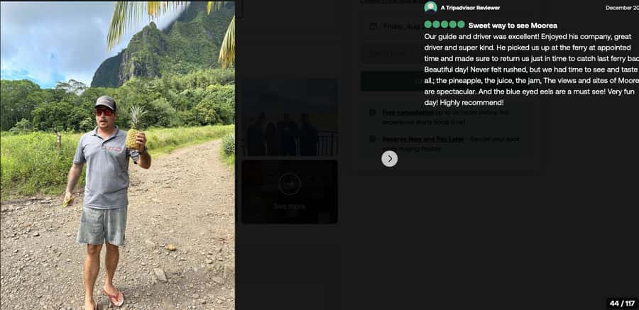 Albert Tours Excursion Safari - Moorea Safari tours&pick up - Pickup, ferry timing, and the details that matter