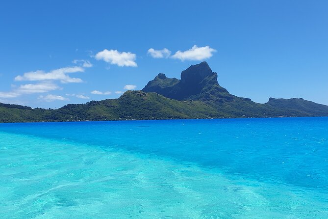 An Immersed Day in Bora Bora with O-sea - Rays, sharks, and responsible encounters