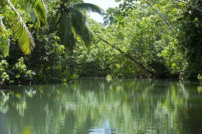 Apetahi day trip around Raiatea on a modern outrigger canoe - Who should book it, and who should think twice