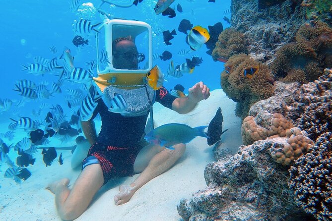 Aqua Safari Introductory Helmet Dive (Underwater Walk) - Key points to know before booking