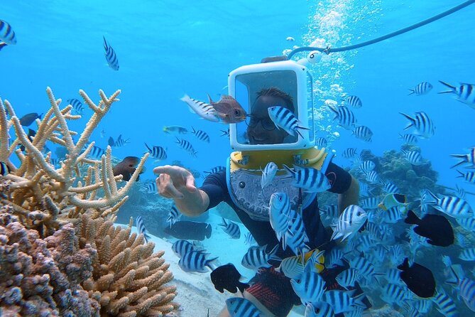 Aqua Safari Introductory Helmet Dive (Underwater Walk) - What the Aqua Safari helmet walk actually feels like