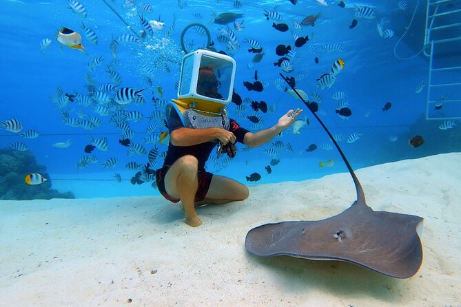 Aqua Safari Introductory Helmet Dive (Underwater Walk) - A coral garden filled with tropical fish