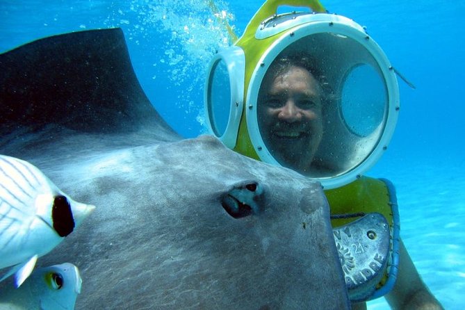 Aquablue Moorea - Key points to know before you book