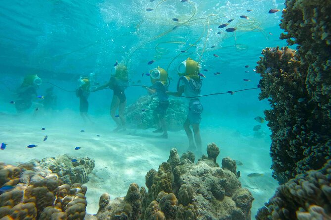 Aquablue Moorea - What the Moorea sea walk actually feels like