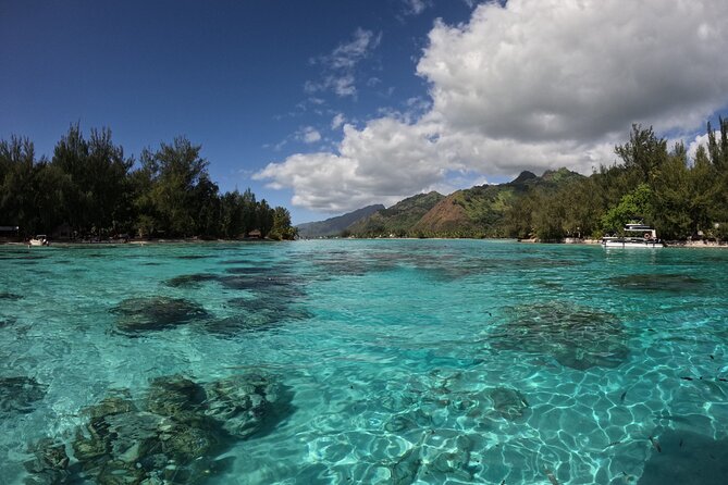 Aquablue Moorea - How the small group improves the experience