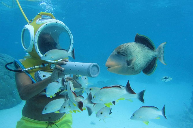 Aquablue Moorea - Photos and video are worth considering