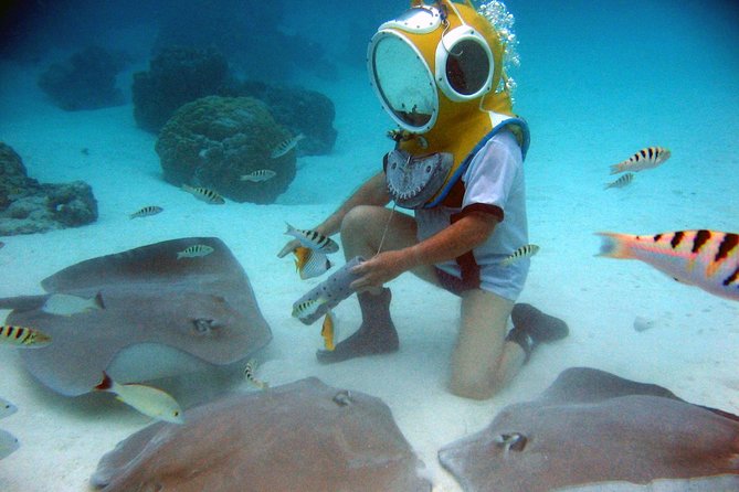 Aquablue Moorea - What the $109.55 price gets you