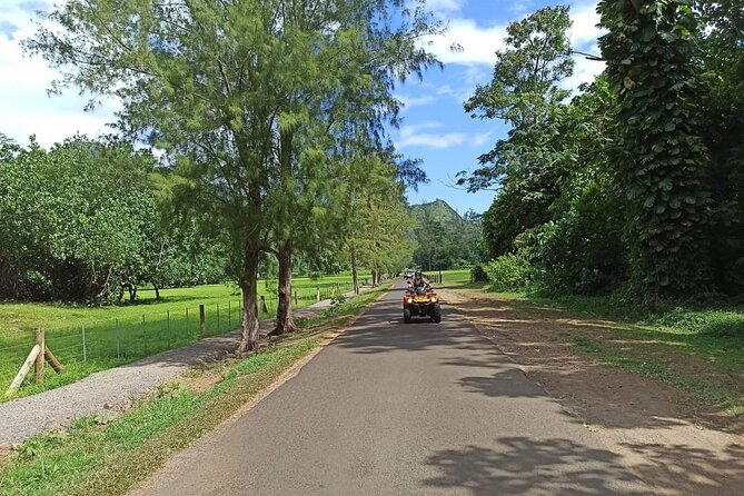 ATV Tour QUAD - Cook Bay and Opunohu: Moorea beyond the coast